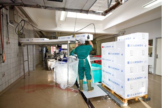 Fish boxes, fishboxes, recycling, reuse